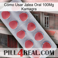 Cómo Usar Jalea Oral 100Mg Kamagra 18